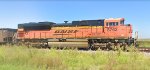 BNSF 8763